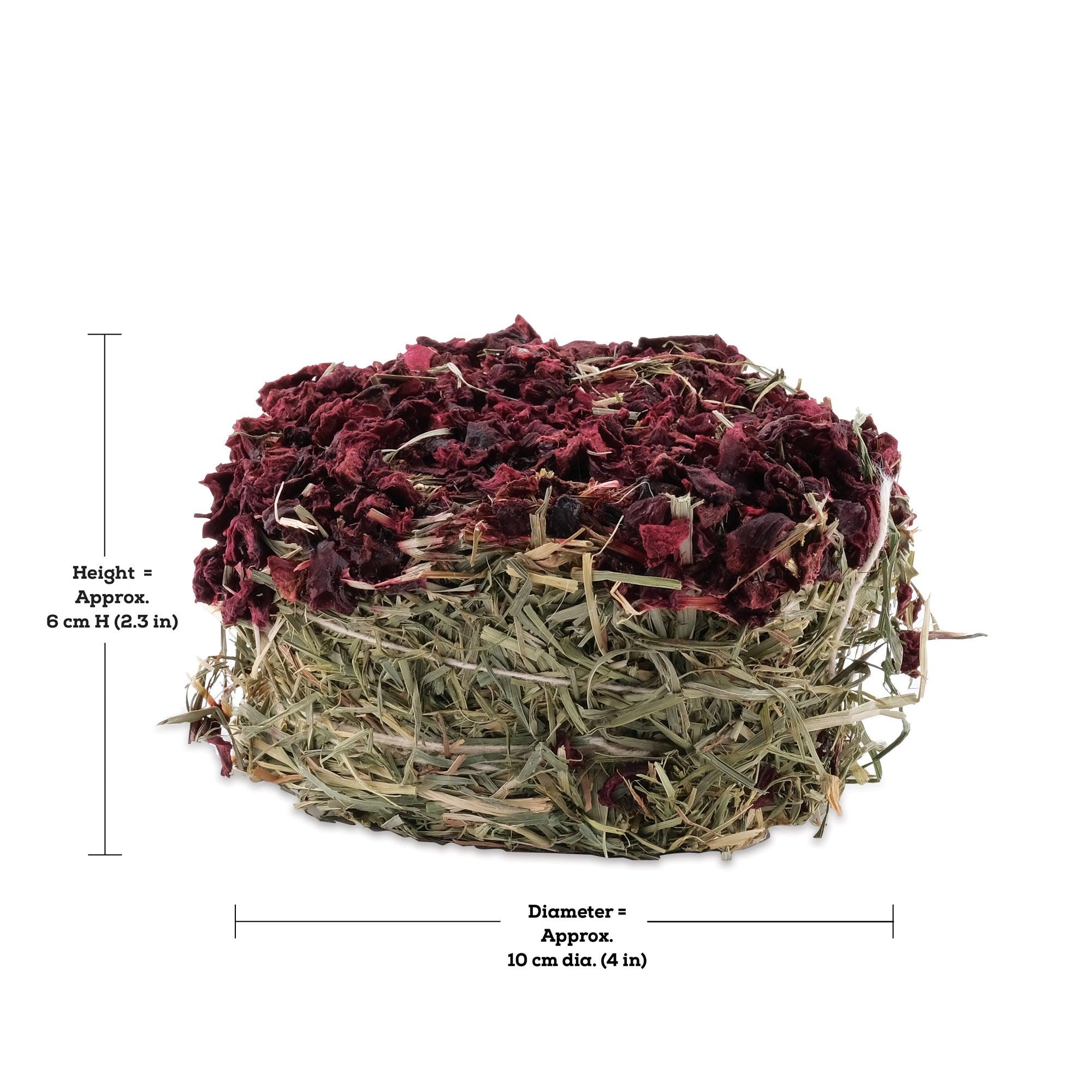 Living World Green Botanicals Hay Cake Beet - 75g - Small Animal Treats - Living World - PetMax Canada