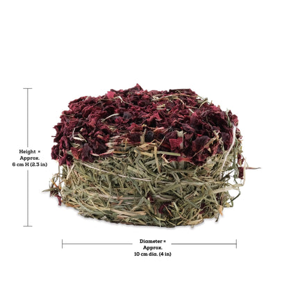 Living World Green Botanicals Hay Cake Beet - 75g - Small Animal Treats - Living World - PetMax Canada