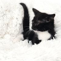 Catit Fluffy Bed White - 60cm (20") - Cat Beds - Catit - PetMax Canada