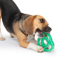 Zeus Duo Dog Toy Ninja Star Mint Scent Green  Dog Toys  | PetMax Canada