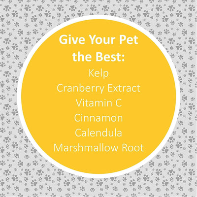 Veterinary Formula Clinical Care Tear Stain Premium Supplement - 30 Count - Health Care - Synergy Labs - PetMax Canada