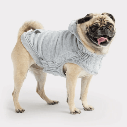 GF Pet Urban Hoodie Heather Grey For Dogs - XX-Small - Sweaters - GF Pet - PetMax Canada