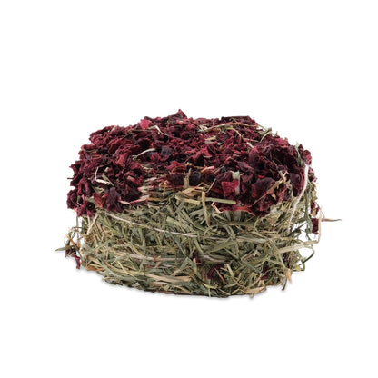 Living World Green Botanicals Hay Cake Beet - 75g - Small Animal Treats - Living World - PetMax Canada