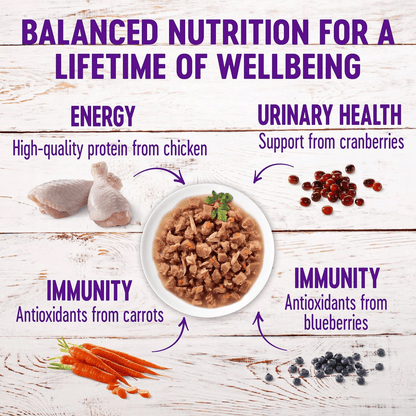 Wellness Healthy Indulgence Morsels Chicken & Chicken Liver Wet Cat Food - 85g - Canned Cat Food - Wellness - PetMax Canada