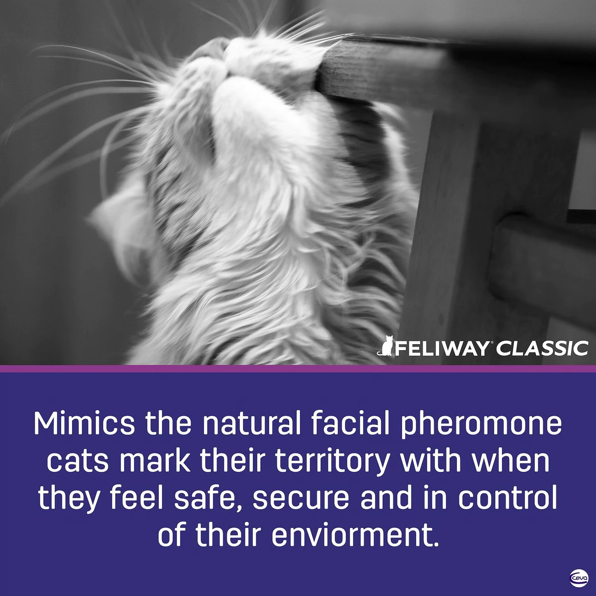 Feliway Classic Calming Diffuser Refill for Cats, 30 day  Cat Health Care  | PetMax Canada