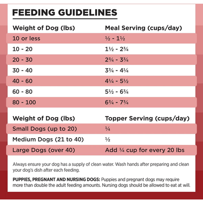 Bixbi Rawbble Beef Recipe Grain-Free Freeze-Dried Dog Food - 340g - Dog Food - Bixbi - PetMax Canada