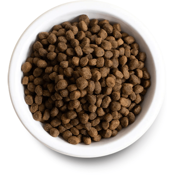 Open farm senior clearance dog food