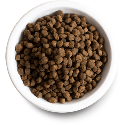 Open Farm Senior Dog Food Recipe - 10 Kg - Dog Food - Open Farm - PetMax Canada