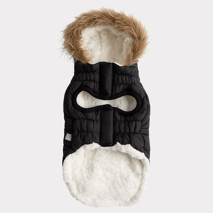 GF Pet Urban Parka Black For Dogs - X-Small - Coats - GF Pet - PetMax Canada