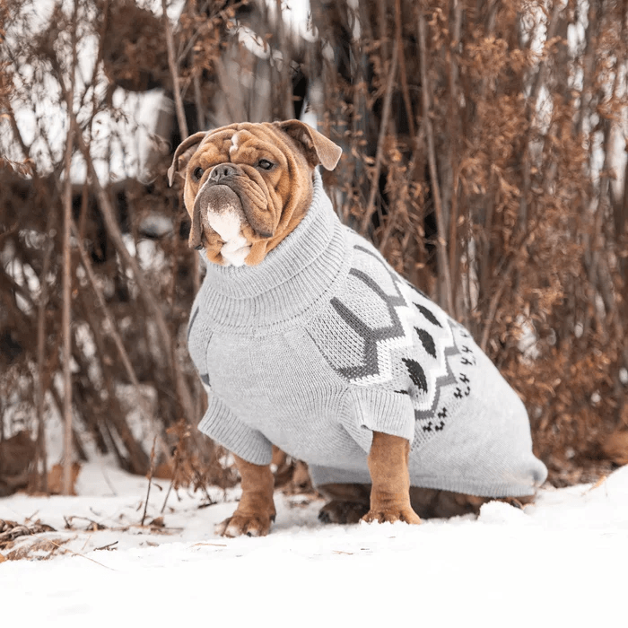 GF Pet Heritage Sweater Grey For Dogs PetMax