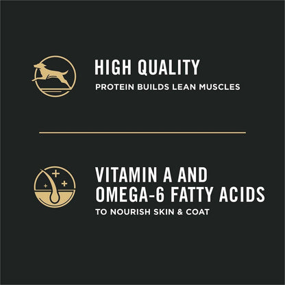 Purina Pro Plan High Protein DHA Lamb & Rice Formula Puppy Food - 2.7 Kg - Dog Food - Purina Pro Plan - PetMax Canada