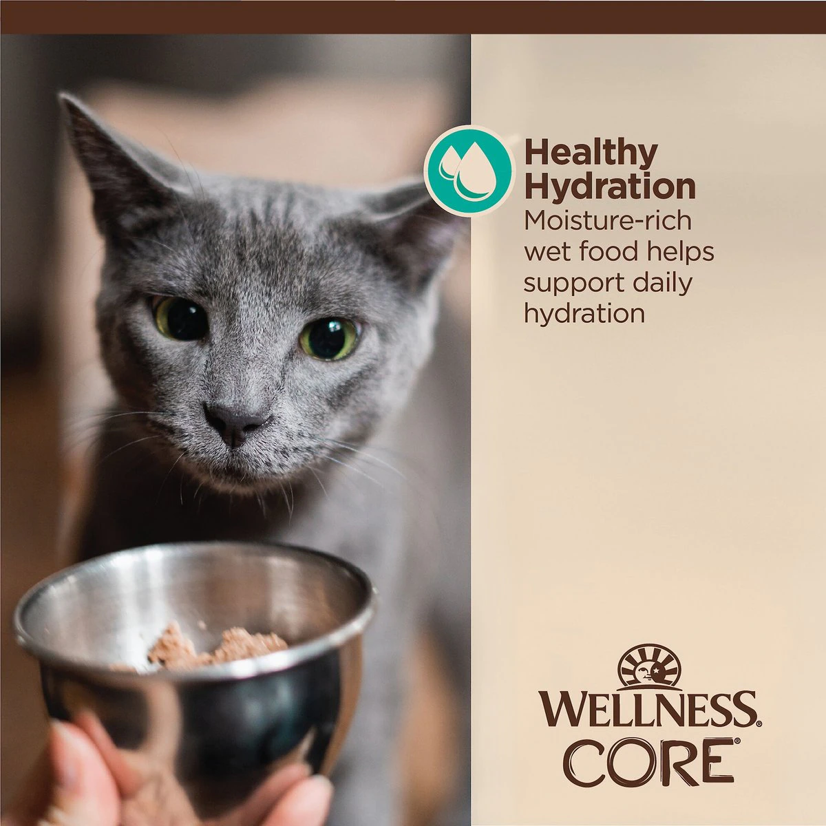 Wellness CORE Tiny Tasters Flaked Tuna & Salmon in Sauce Wet Cat Food  Canned Cat Food  | PetMax Canada