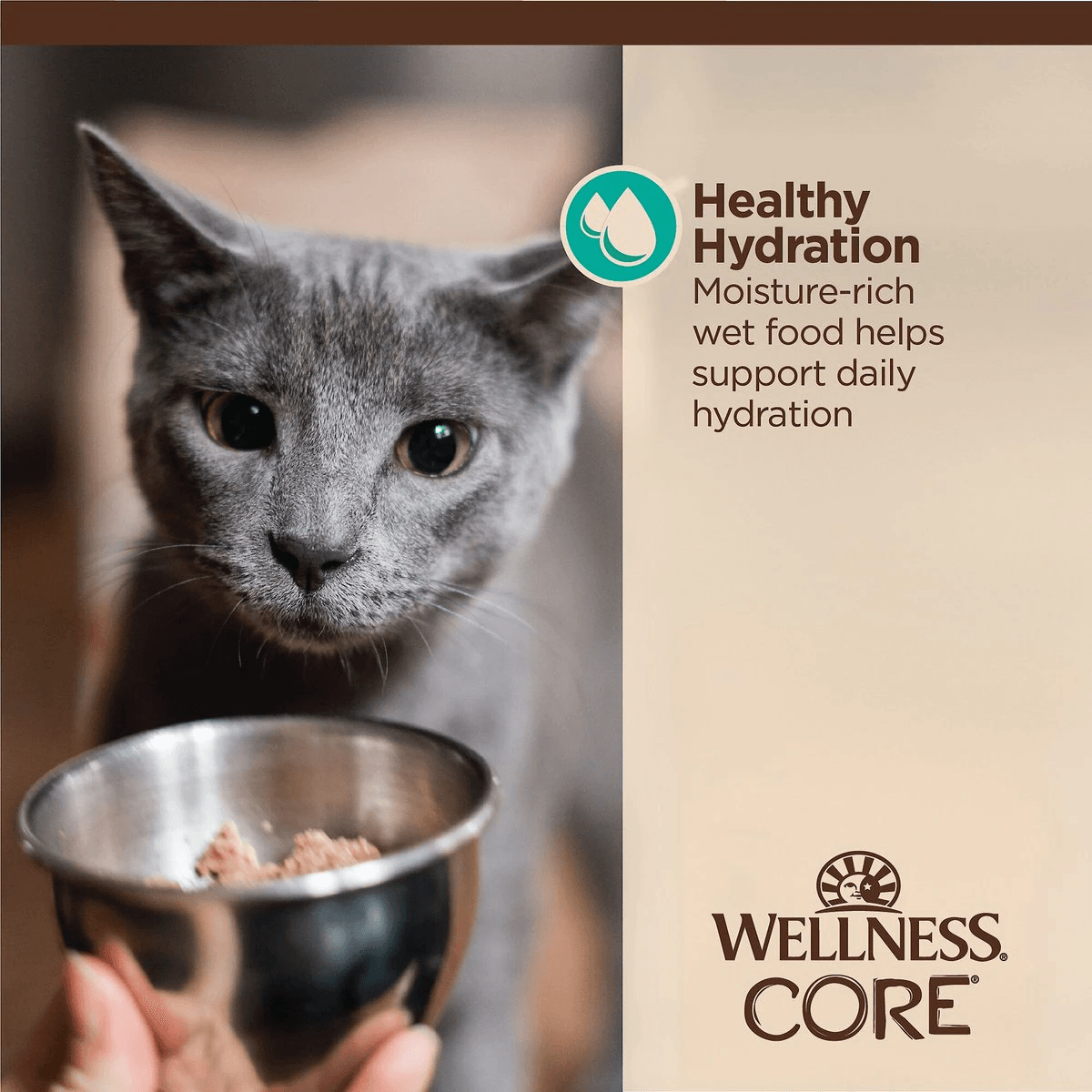 Wellness CORE Tiny Tasters Flaked Tuna & Salmon in Sauce Wet Cat Food - 50g - Canned Cat Food - Wellness - PetMax Canada