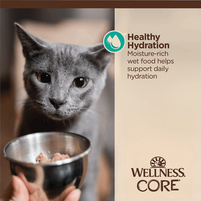 Wellness CORE Tiny Tasters Flaked Tuna & Salmon in Sauce Wet Cat Food - 50g - Canned Cat Food - Wellness - PetMax Canada