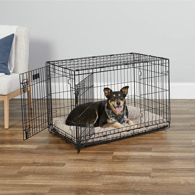 Bud'Z Deluxe Dog Crate With Double Door - Small: 24" x 17" x 19" - Wire Crates - Bud'Z - PetMax Canada