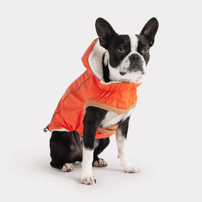 GF Pet Insulated Raincoat Orange For Dogs - X-Small - Coats - GF Pet - PetMax Canada
