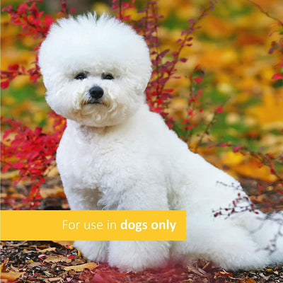 Veterinary Formula Clinical Care Tear Stain Premium Supplement - 30 Count - Health Care - Synergy Labs - PetMax Canada