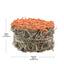 Living World Green Botanicals Hay Cake Carrot  Small Animal Treats  | PetMax Canada