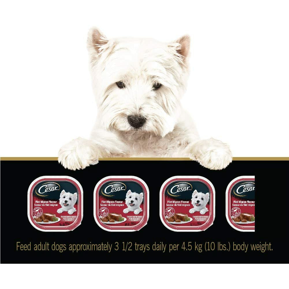 Cesar Classic Loaf in Sauce Filet Mignon Entrées Wet Dog Food  Canned Dog Food  | PetMax Canada
