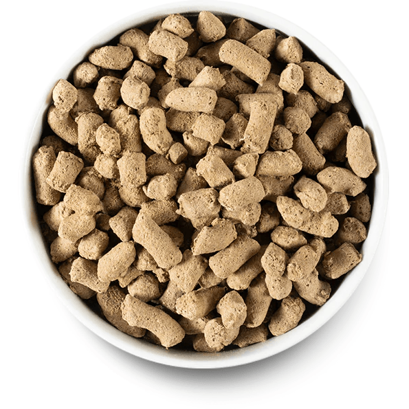 Open Farm Dog Food Grass Fed Beef Freeze Dried Raw - 99g - Dog Food - Open Farm - PetMax Canada