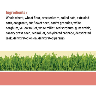 Living World Small Animal Veggie Flavour Sticks - 45g - Small Animal Food Treats - Living World - PetMax Canada