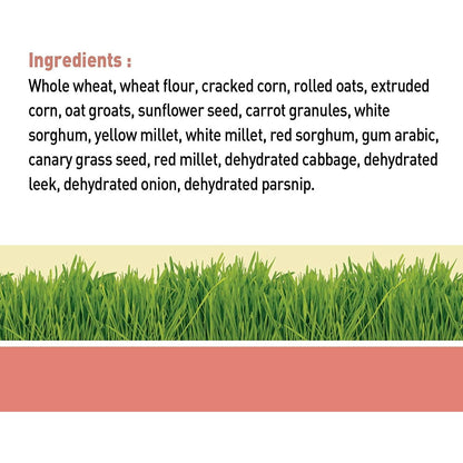 Living World Small Animal Veggie Flavour Sticks - 45g - Small Animal Food Treats - Living World - PetMax Canada