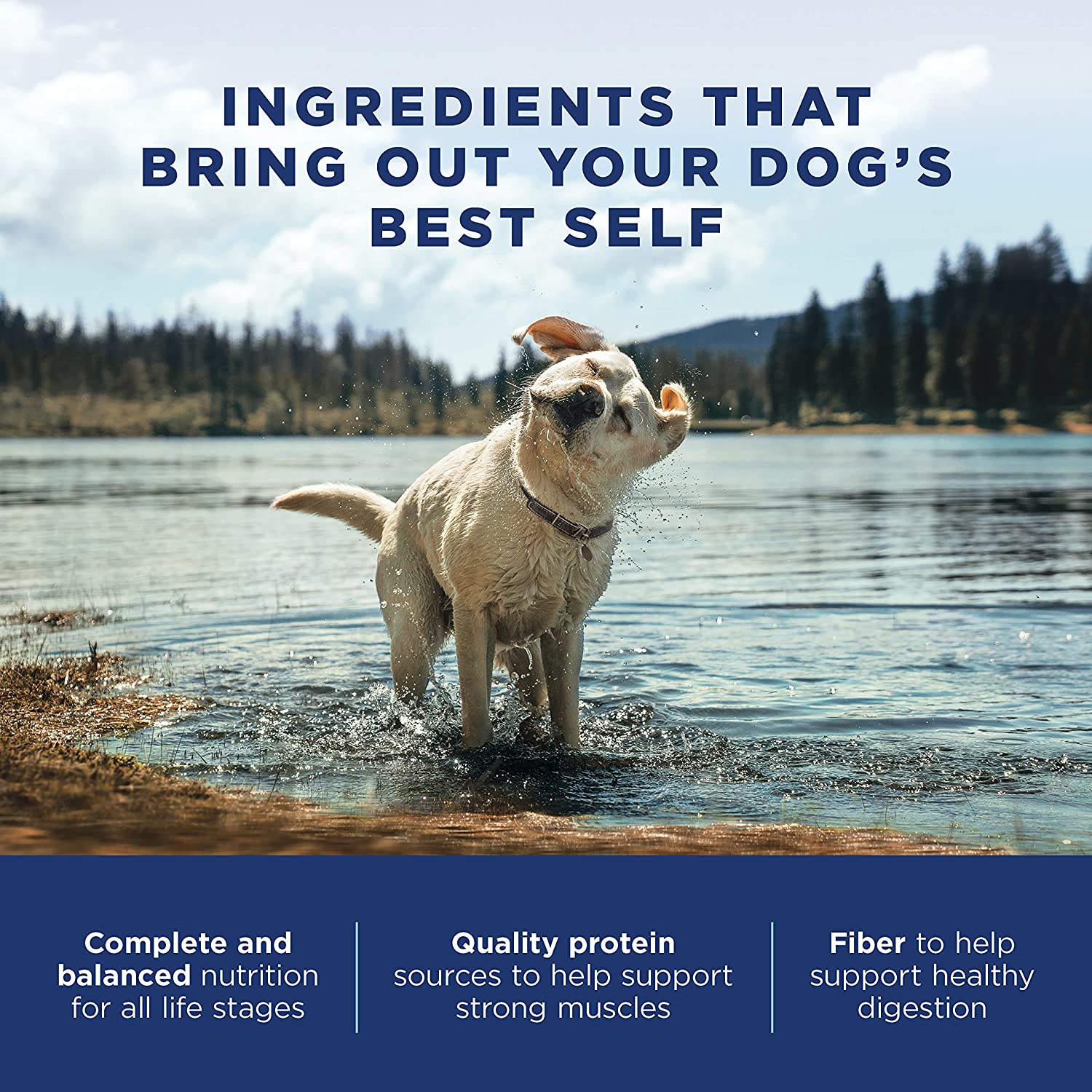 Natural Balance Canned Dog Food Lamb  Canned Dog Food  | PetMax Canada