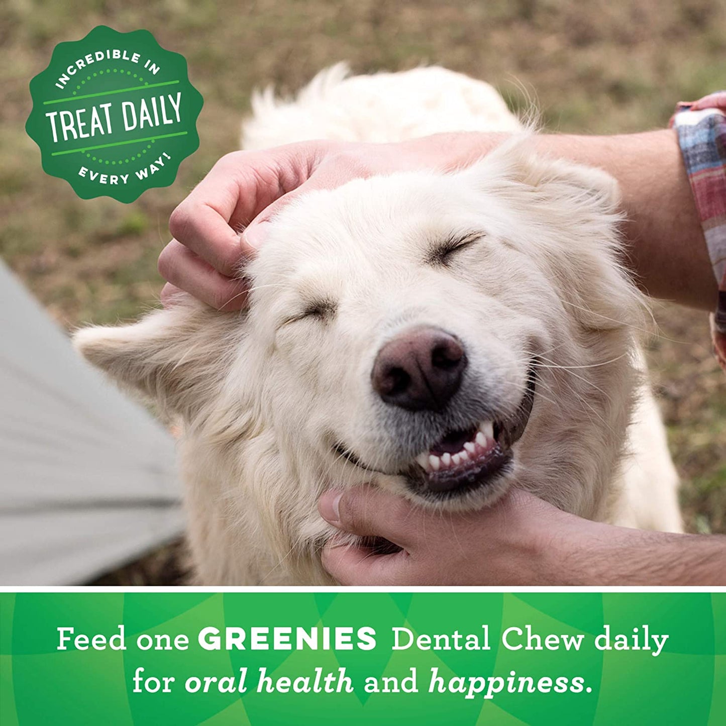 Greenies Dental Treat Original Large  Dog Treats  | PetMax Canada