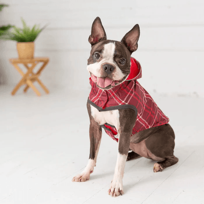 GF Pet Reversible Raincoat Red For Dogs - Small - Coats - GF Pet - PetMax Canada