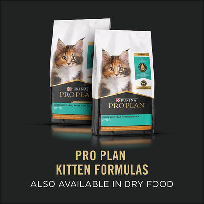 Purina Pro Plan Entree Kitten Food Salmon & Oceanfish - 85g - Canned Cat Food - Purina Pro Plan - PetMax Canada