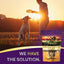 Zignature Kangaroo Formula Biscuit Treats for Dogs  Dog Treats  | PetMax Canada