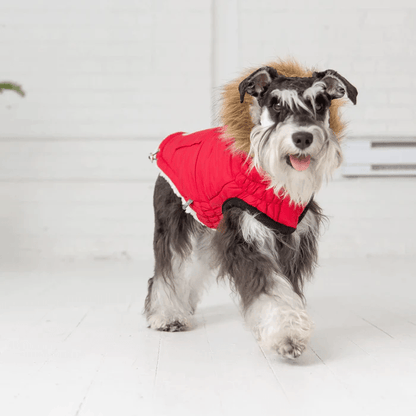 GF Pet Urban Parka Red For Dogs - X-Small - Coats - GF Pet - PetMax Canada