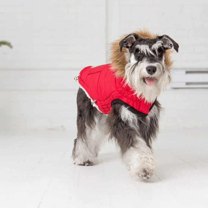 GF Pet Urban Parka Red For Dogs - X-Small - Coats - GF Pet - PetMax Canada