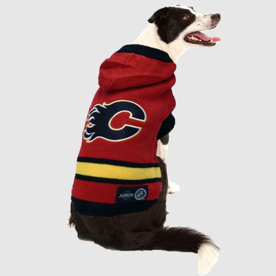 NHL Calgary Flames Hooded Dog Sweater  NHL Sweaters  | PetMax Canada