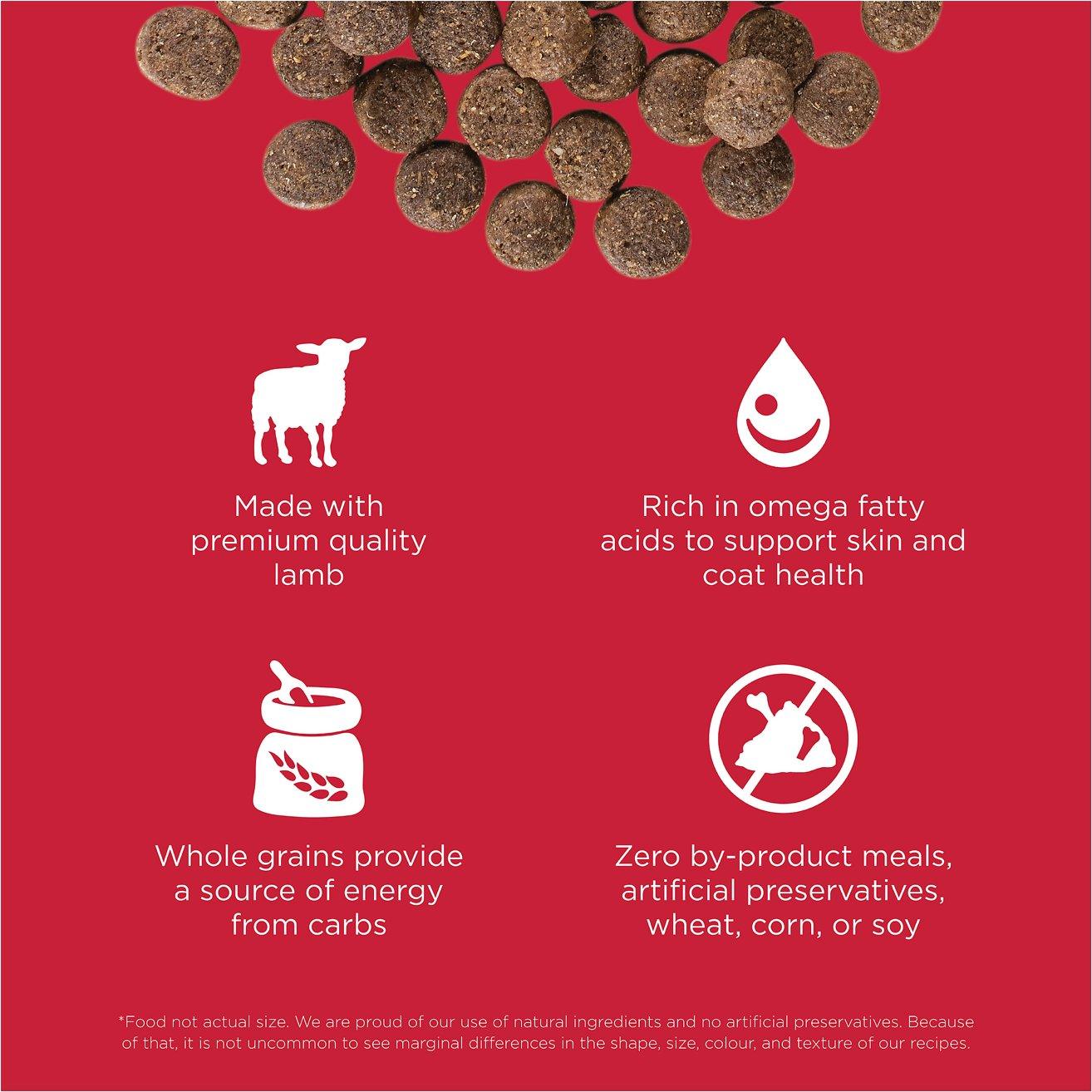 GO! SKIN + COAT CARE Lamb Recipe for dogs  Dog Food  | PetMax Canada