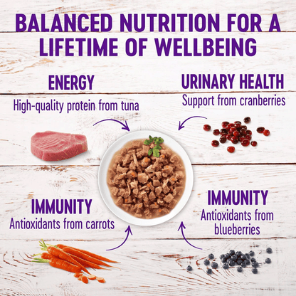 Wellness Healthy Indulgence Morsels Tuna Wet Cat Food - 85g - Canned Cat Food - Wellness - PetMax Canada
