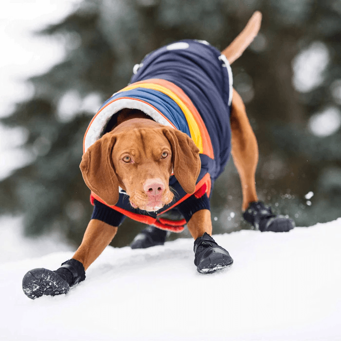 GF Pet Elastofit Boots For Dogs  Boots  | PetMax Canada