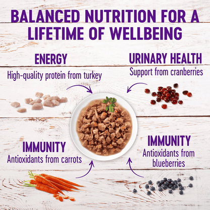 Wellness Healthy Indulgence Morsels Turkey & Duck Wet Cat Food - 85g - Canned Cat Food - Wellness - PetMax Canada