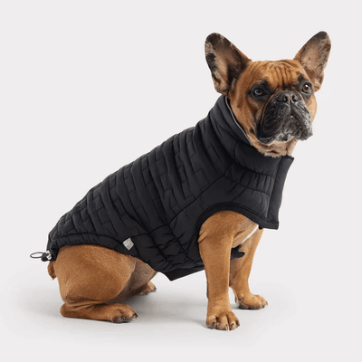 GF Pet Reversible Chalet Jacket Black For Dogs - X-Small - Coats - GF Pet - PetMax Canada