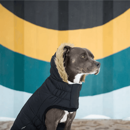GF Pet Urban Parka Black For Dogs - X-Small - Coats - GF Pet - PetMax Canada