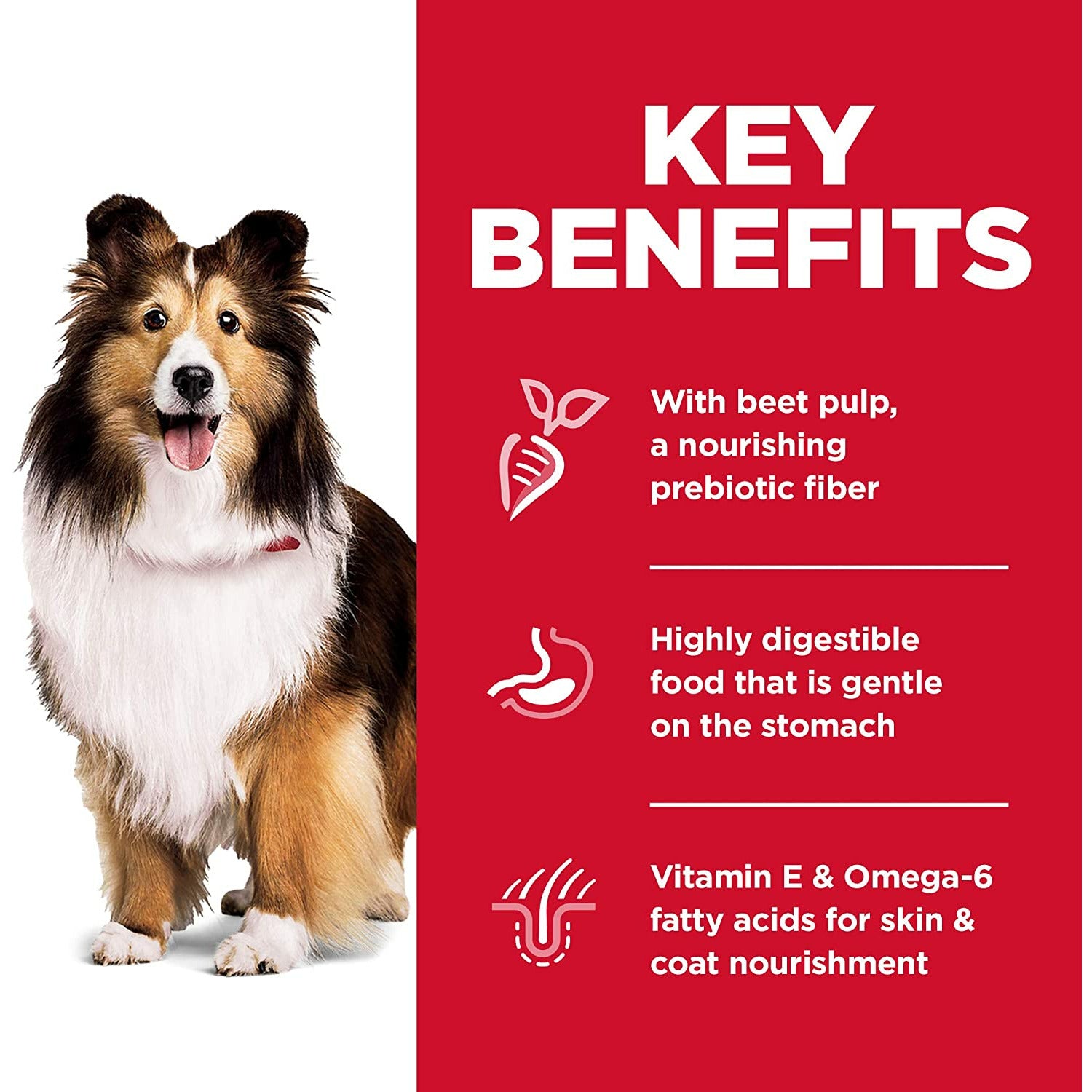 Hill's Science Diet Dry Dog Food, Adult, Sensitive Stomach & Skin Recipes  Dog Food  | PetMax Canada