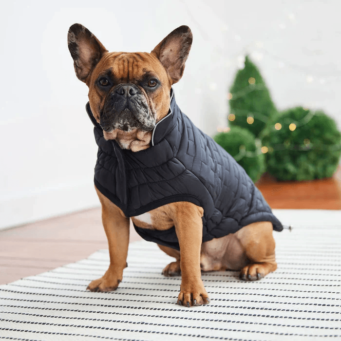 GF Pet Reversible Chalet Jacket Black For Dogs  Coats  | PetMax Canada