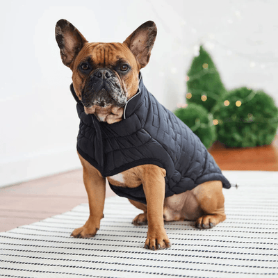 GF Pet Reversible Chalet Jacket Black For Dogs - X-Small - Coats - GF Pet - PetMax Canada