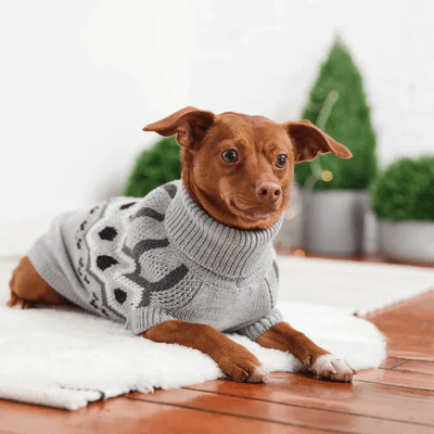 GF Pet Heritage Sweater Grey For Dogs - X-Small - Sweaters - GF Pet - PetMax Canada
