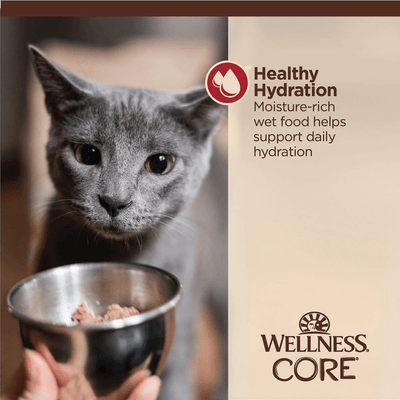 Wellness CORE Tiny Tasters Minced Chicken & Beef in Gravy Wet Cat Food - 50g - Canned Cat Food - Wellness - PetMax Canada