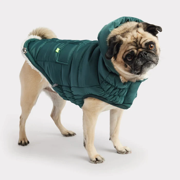 GF Pet Super Puff Parka Teal For Dogs  Coats  | PetMax Canada