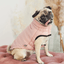 GF Pet Reversible Chalet Jacket Pink For Dogs  Coats  | PetMax Canada