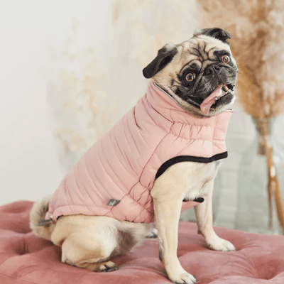 GF Pet Reversible Chalet Jacket Pink For Dogs - X-Small - Coats - GF Pet - PetMax Canada