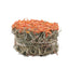 Living World Green Botanicals Hay Cake Carrot  Small Animal Treats  | PetMax Canada