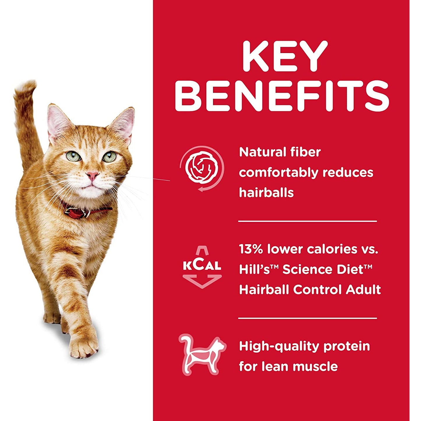 Hill's Science Diet Dry Cat Food, Adult, Hairball Control, Light for Healthy Weight & Weight Management, Chicken Recipe  Cat Food  | PetMax Canada